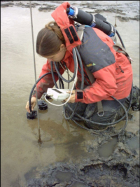 bbe BenthoFluor in field research